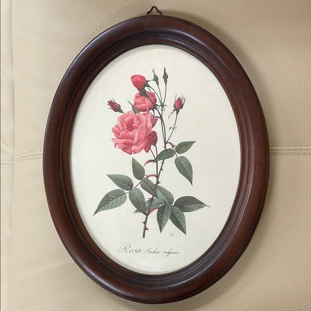 Framed Pink Rose Wall Art - Classic Oval Wooden Frame made in Italy